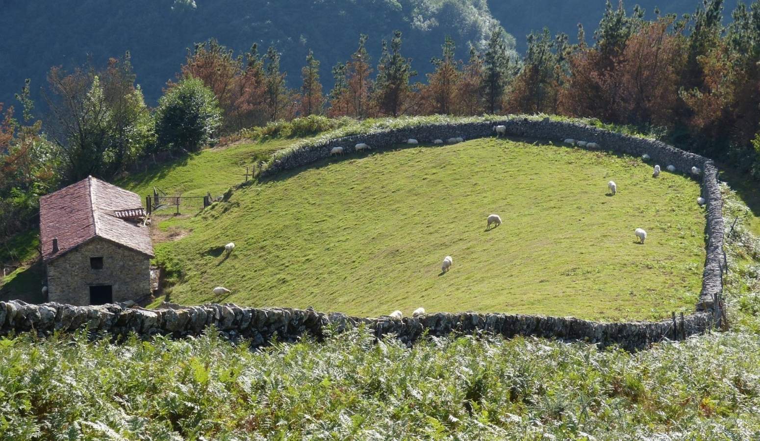  Descubre Navarra como nunca antes: caminando entre pueblos con alma y paisajes que enamoran.